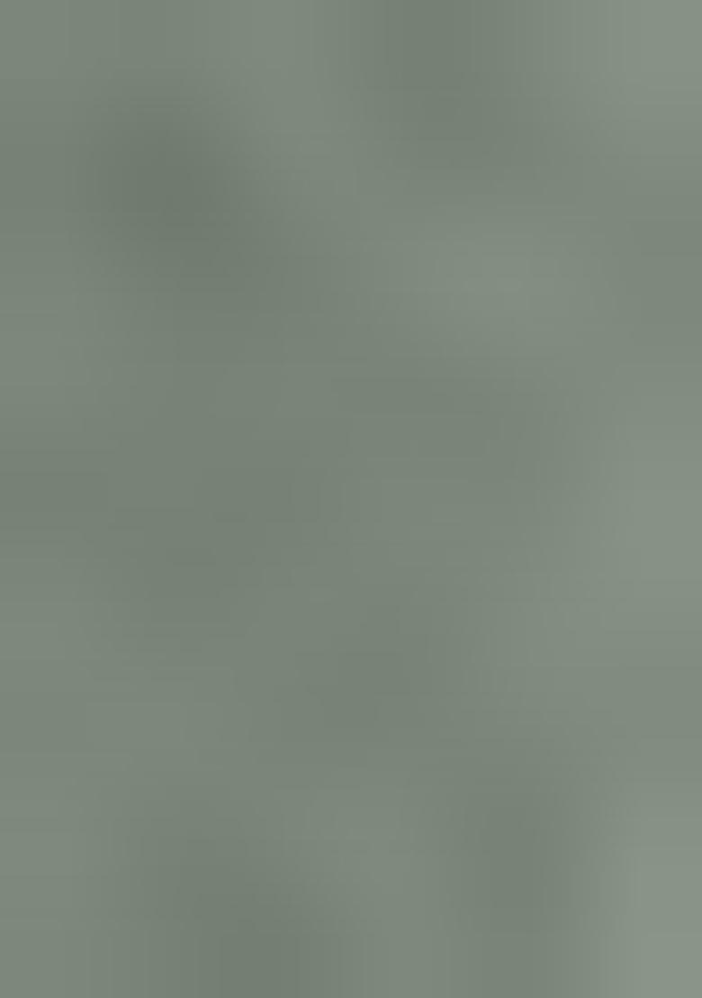 Grey Embroidered Net Salwar Kameez With Dupatta - Indya