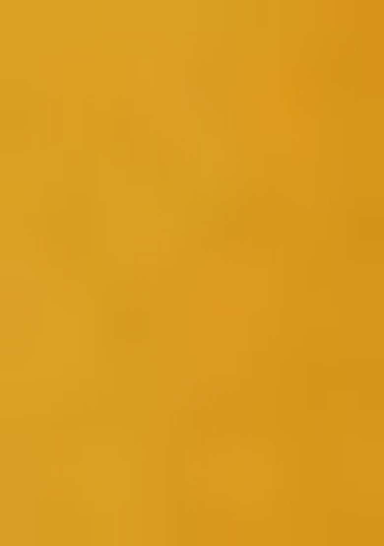 Yellow Embroidered Georgette Anarkali Set - Indya