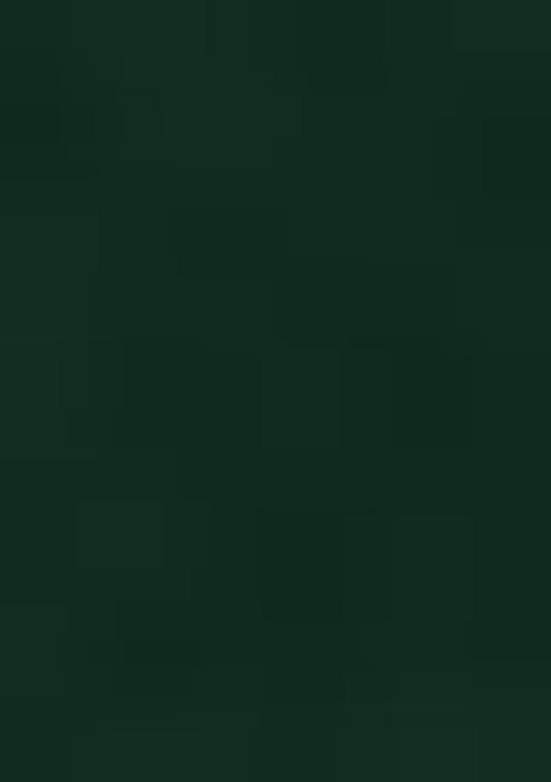 Green Embroidered Faux Georgette Salwar Kameez With Dupatta