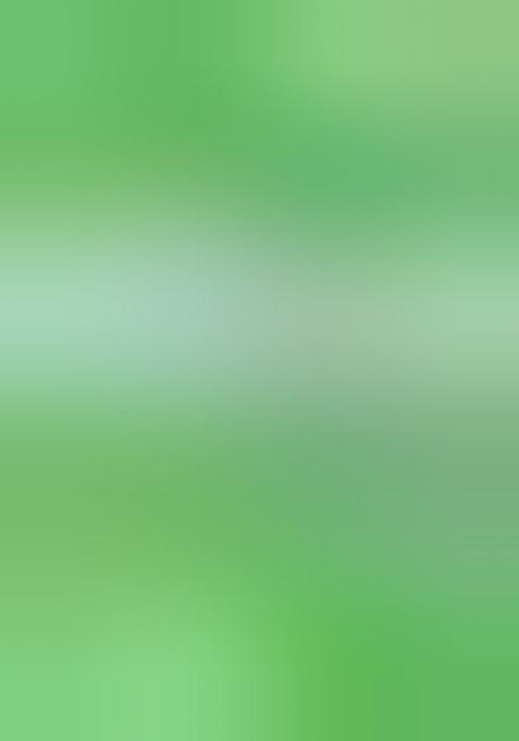 Light Green Embroidered Jacquard Dress Material