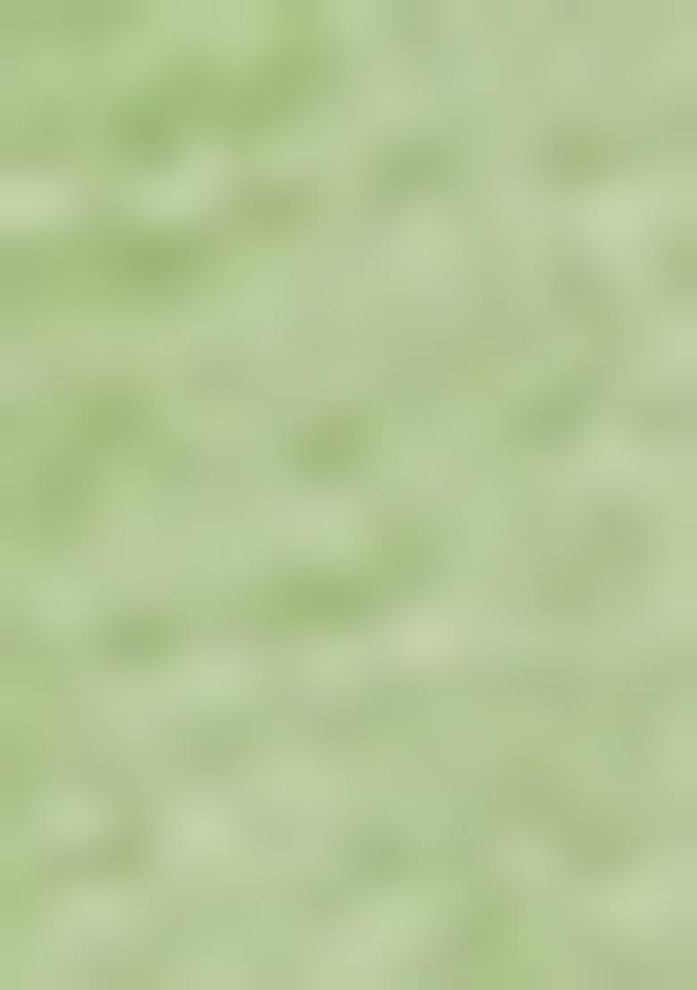 Green Embroidered Chanderi Dress Material