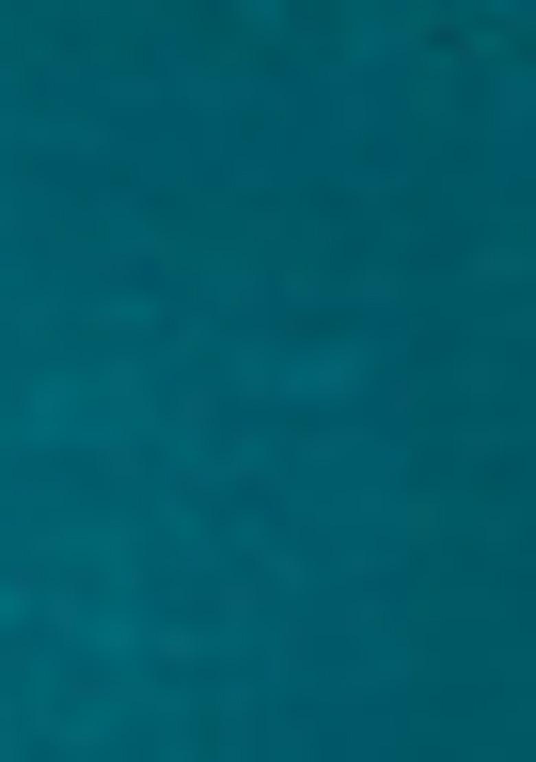 Green Embroidered Oragnza Dress Material - Indya