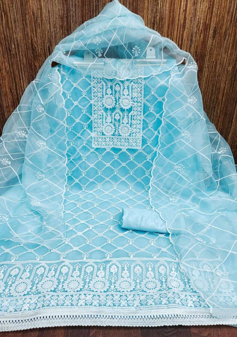 Sky Blue Chikankari Organza Straight Kurta Set - Indya