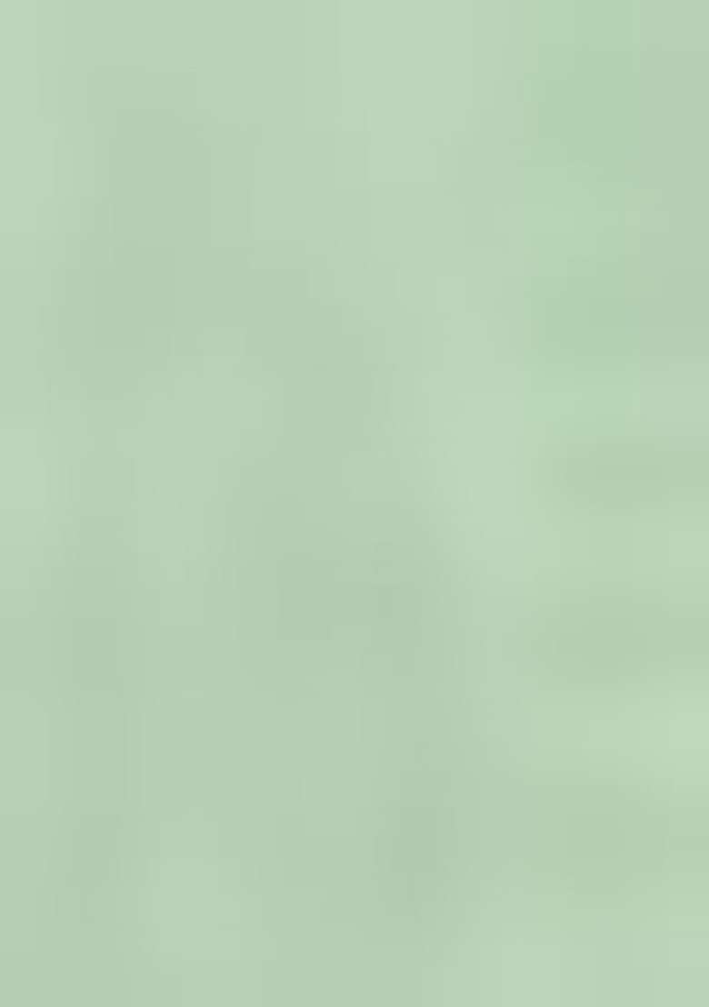 Light Green Embroidered Cotton Straight Kurta Set - Indya
