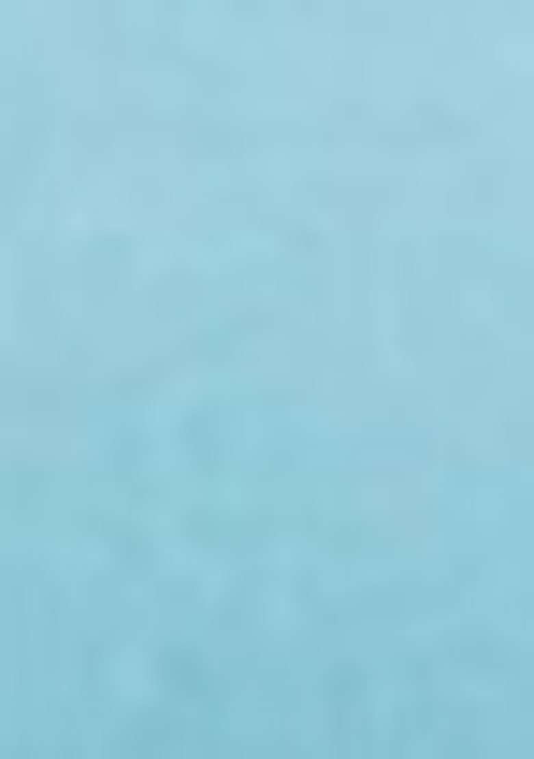 Sky Blue Embroidered Cotton Straight Kurta Set - Indya
