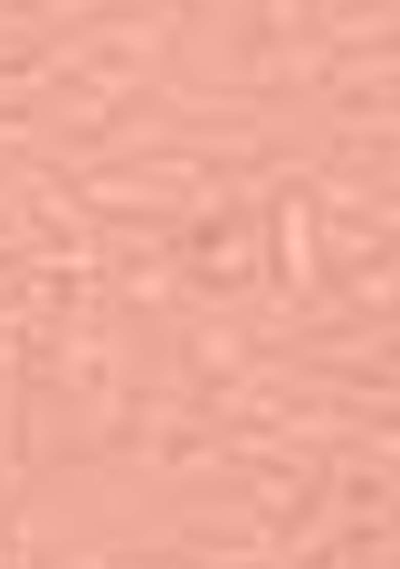 Peach Embroidered Jacquard Dress Material