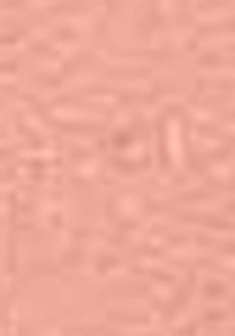 Peach Embroidered Jacquard Dress Material