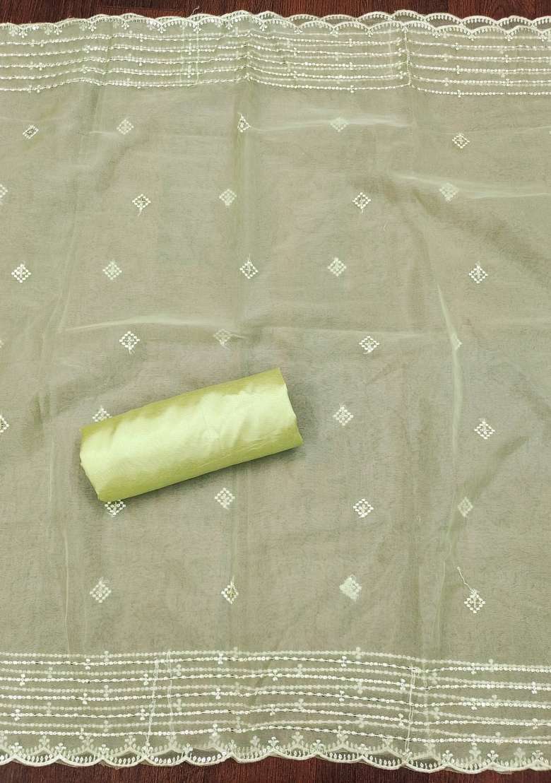 Pista Green Embroidered Organza Straight Kurta Set - Indya