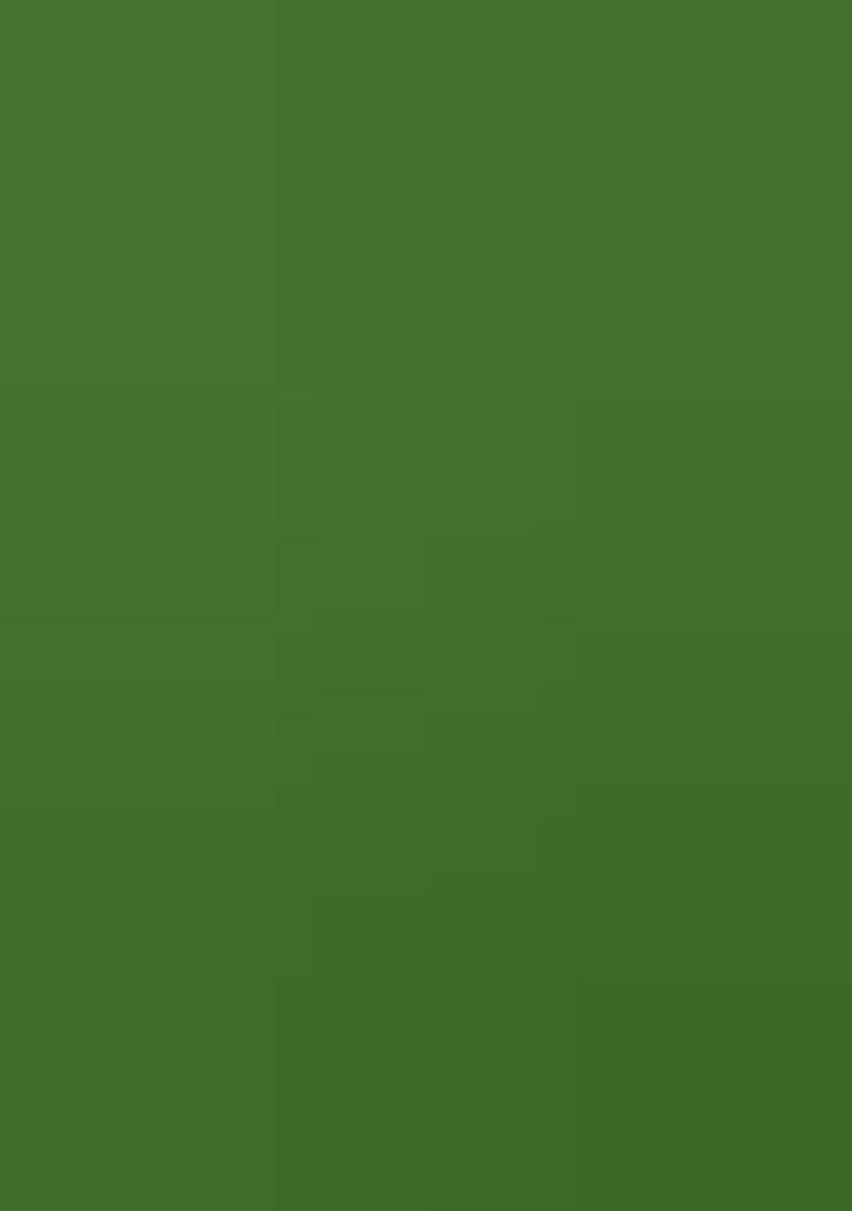 Mehandi Green Embroidered Oragnza Dress Material