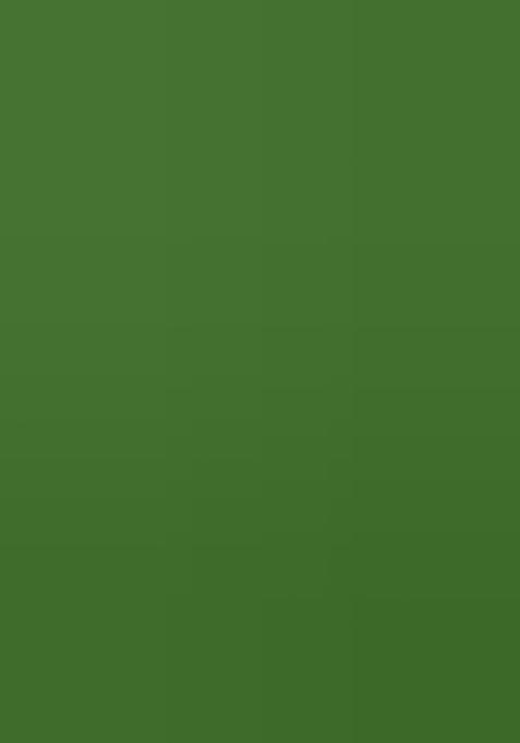 Mehandi Green Embroidered Oragnza Dress Material