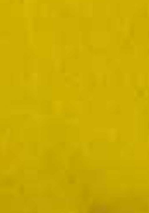 Yellow Embroidered Viscose Dress Material