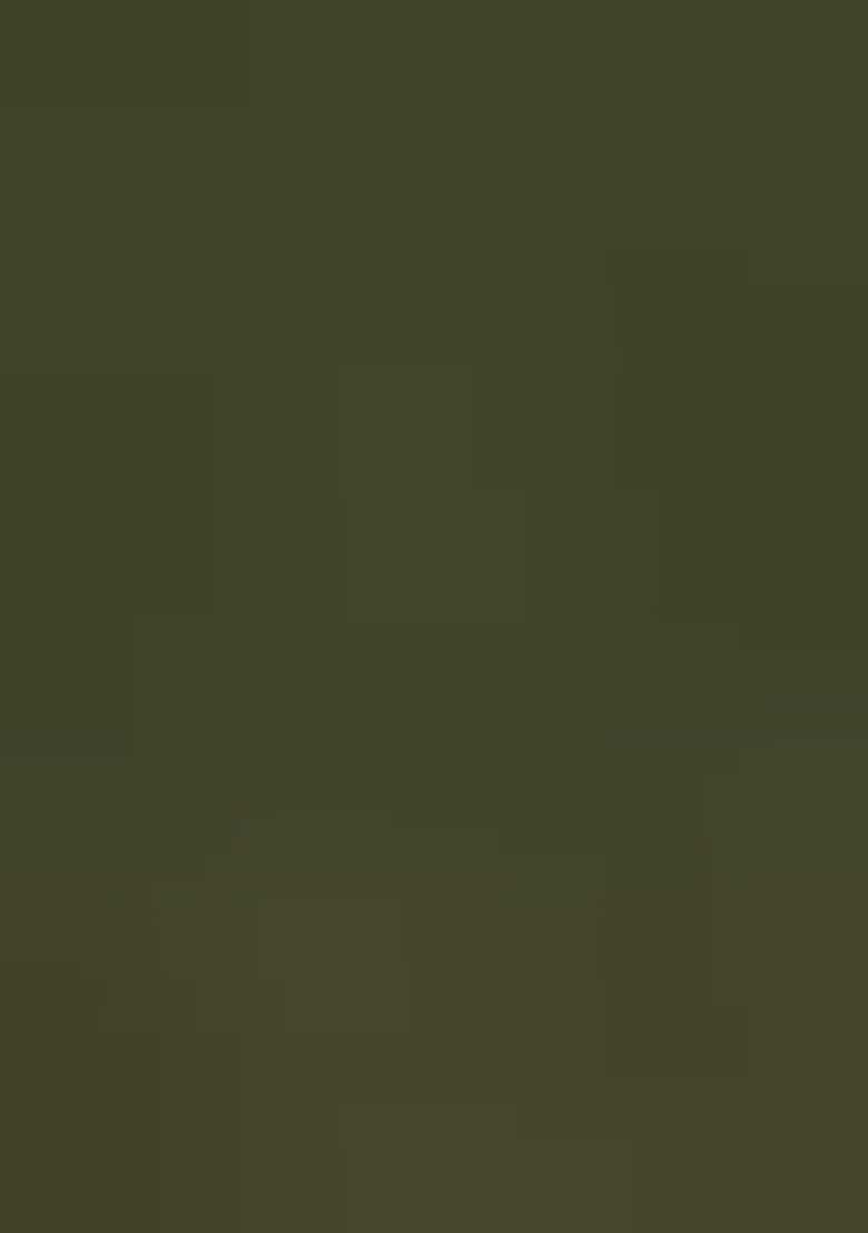 Olive Green Embroidered Georgette Dress Material