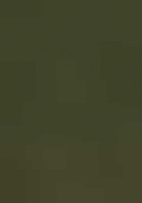 Olive Green Embroidered Georgette Dress Material