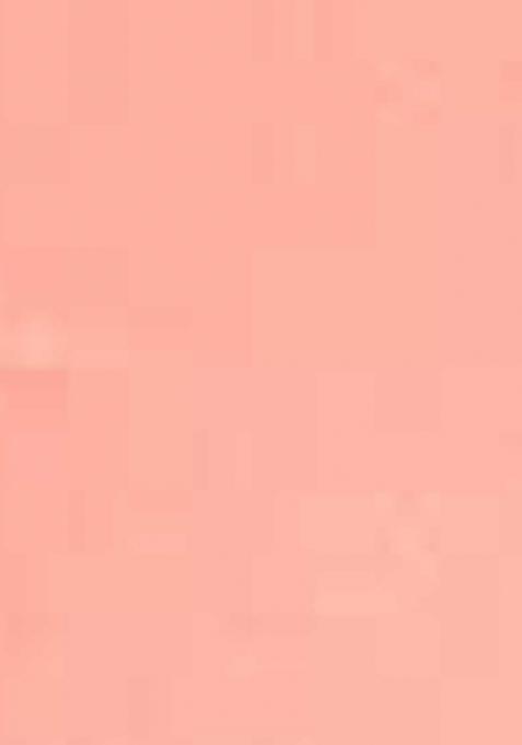 Peach Embroidered Jacquard Dress Material