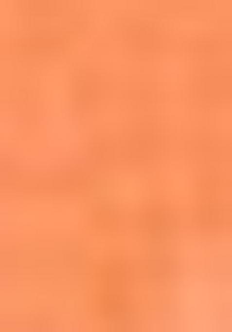 Peach Embroidered Viscose Dress Material