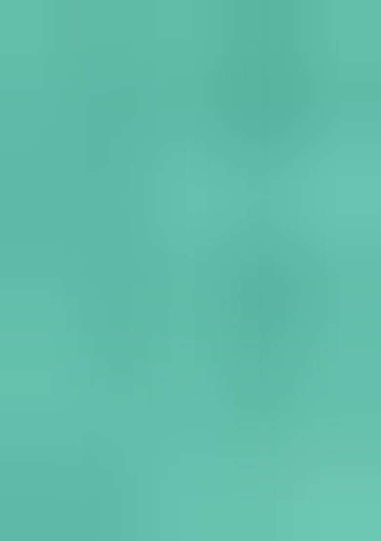 Sea Green Embroidered Cotton Straight Kurta Set - Indya