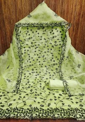Light Green Embroidered Oragnza Dress Material