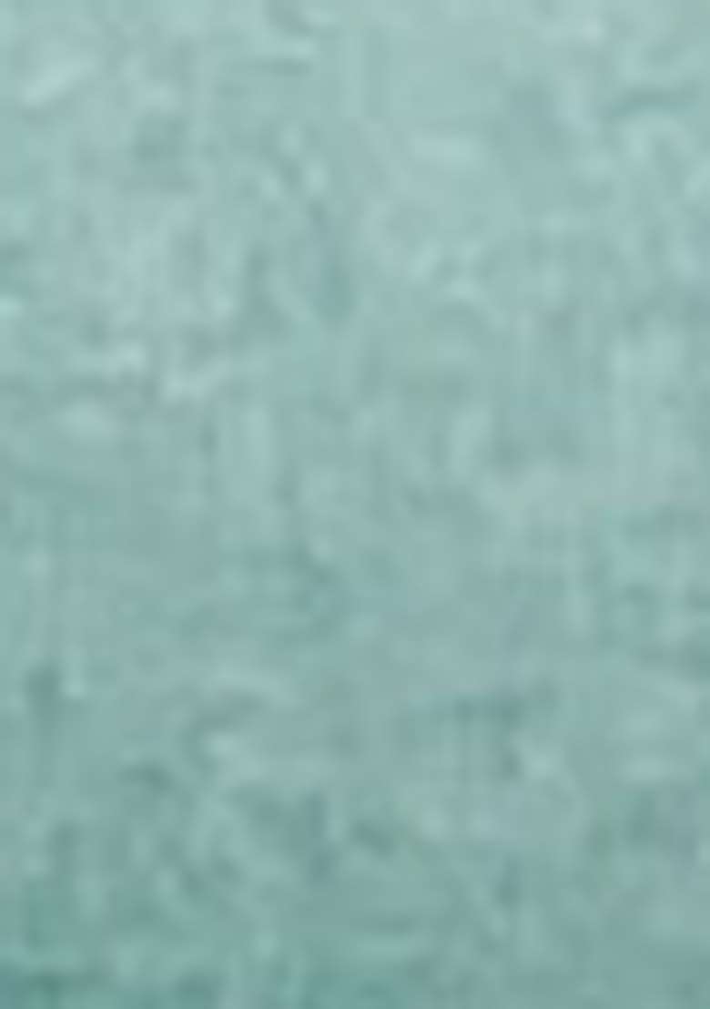 Sea Green Embroidered Organza Pakistani Suit Set - Indya