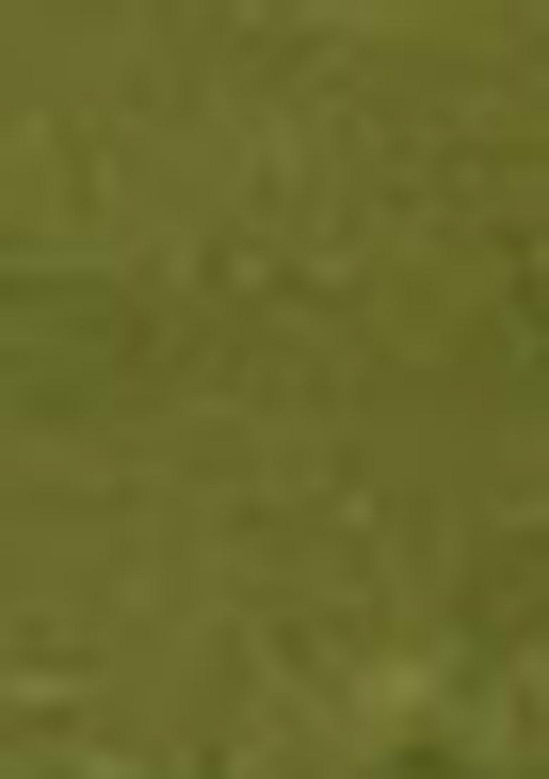 Green Embroidered Blended Dress Material