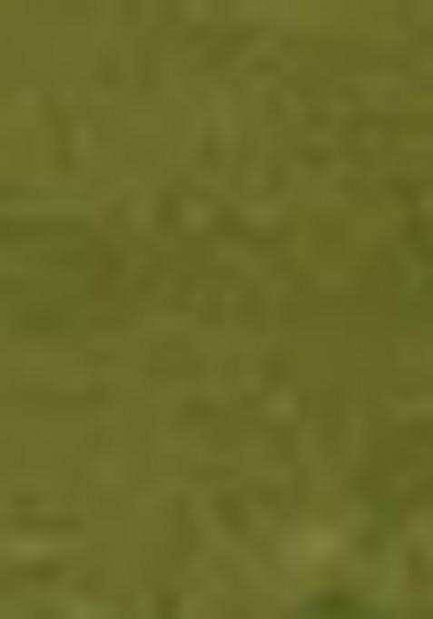 Green Embroidered Blended Dress Material