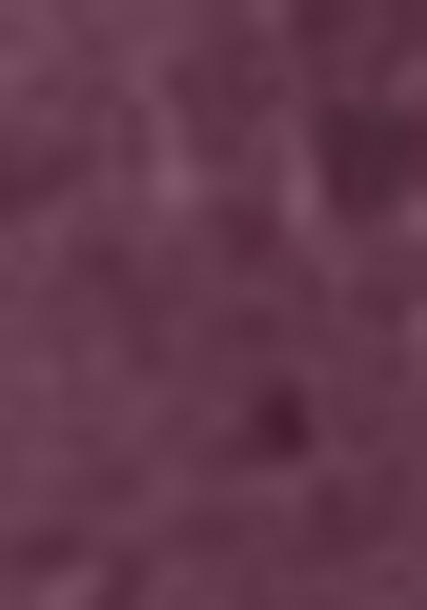 Voilet Embroidered Viscose Dress Material