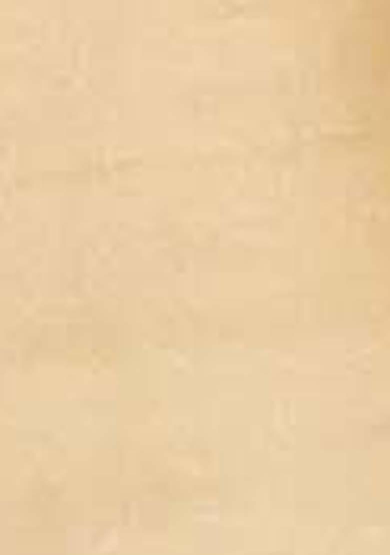 Beige Embroidered Silk Dress Material