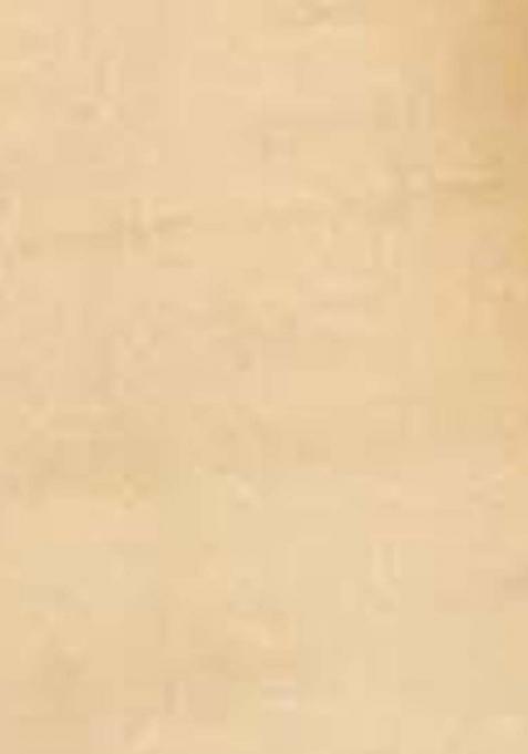 Beige Embroidered Silk Dress Material