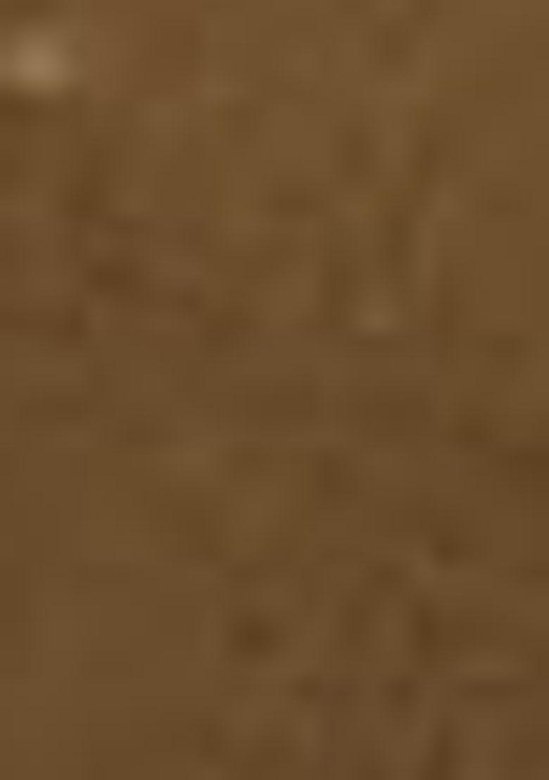 Caramel Brown Embroidered Cotton Blend Dress Material