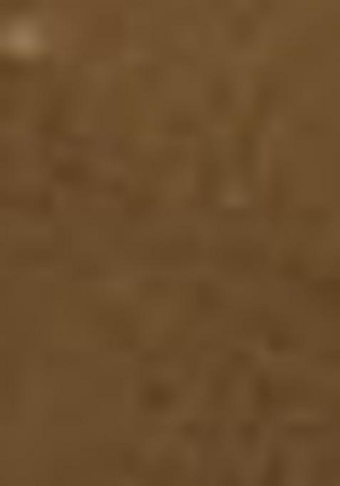 Caramel Brown Embroidered Cotton Blend Dress Material