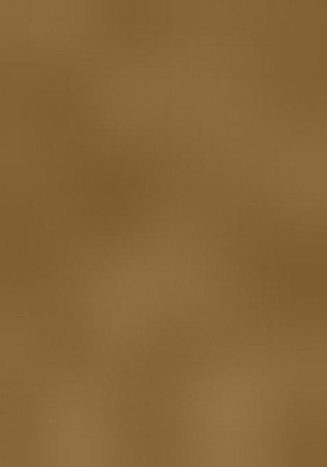 Caramel Brown Embroidered Cotton Blend Dress Material