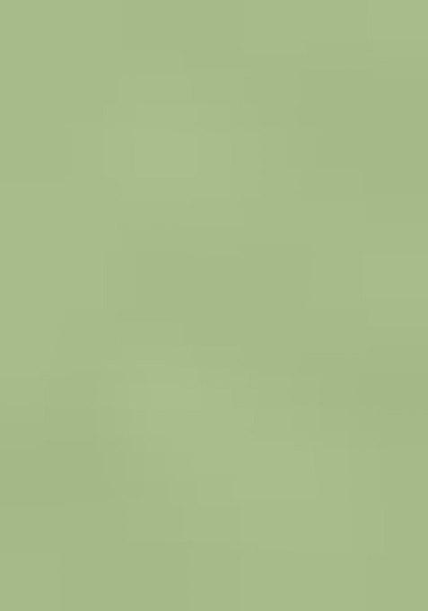 Light Green Embroidered Cotton Blend Dress Material