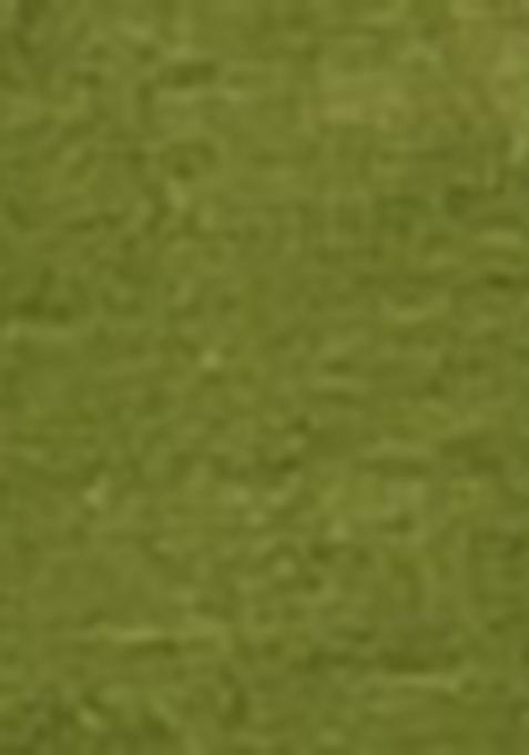 Green Embroidered Blended Dress Material