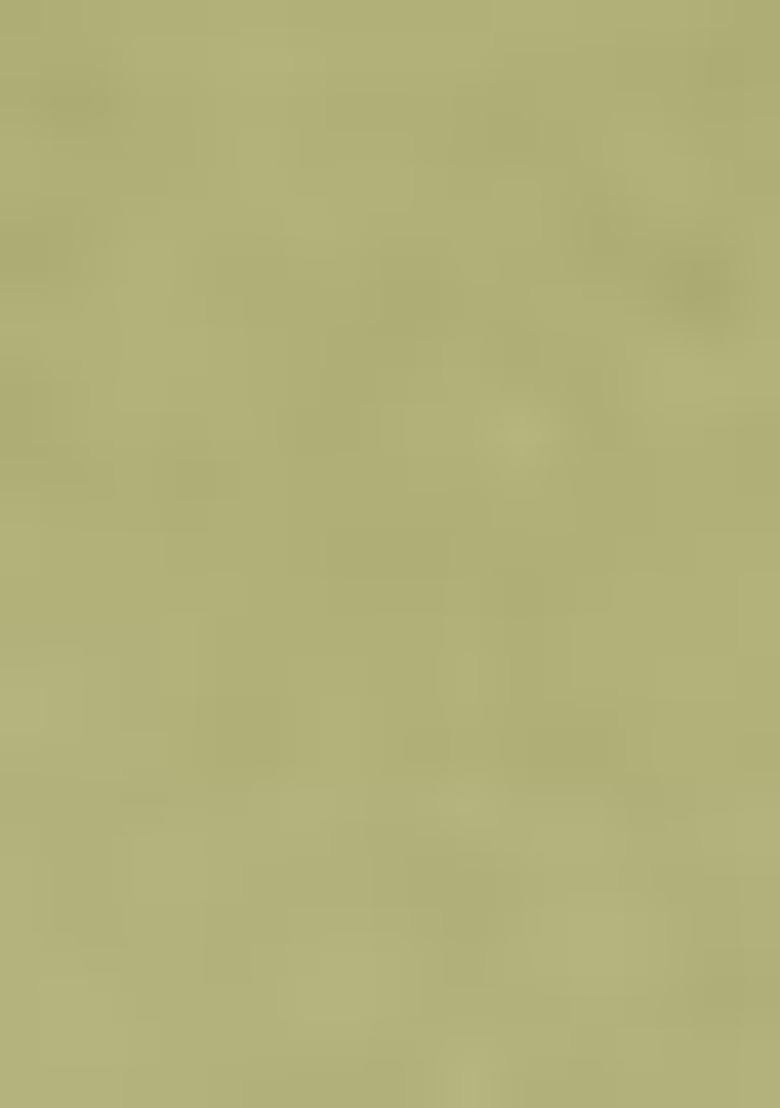 Light Green Embroidered Viscose Dress Material