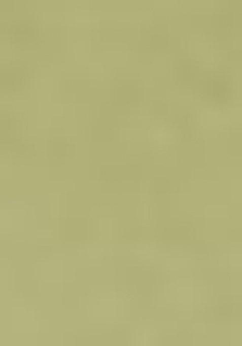 Light Green Embroidered Viscose Dress Material