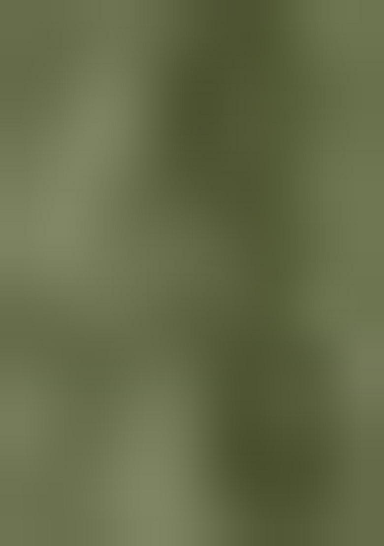 Light Green Embroidered Cotton Blend Dress Material