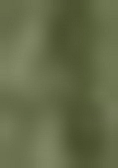 Light Green Embroidered Cotton Blend Dress Material