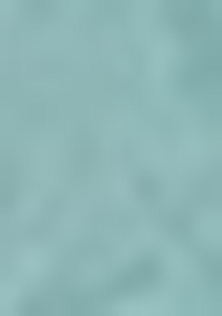 Sea Green Embroidered Cotton Blend Dress Material