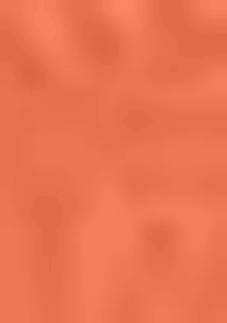 Orange Embroidered Blended Punjabi Suit - Indya