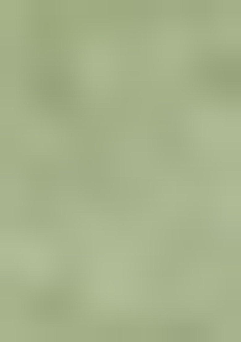 Light Green Embroidered Viscose Dress Material