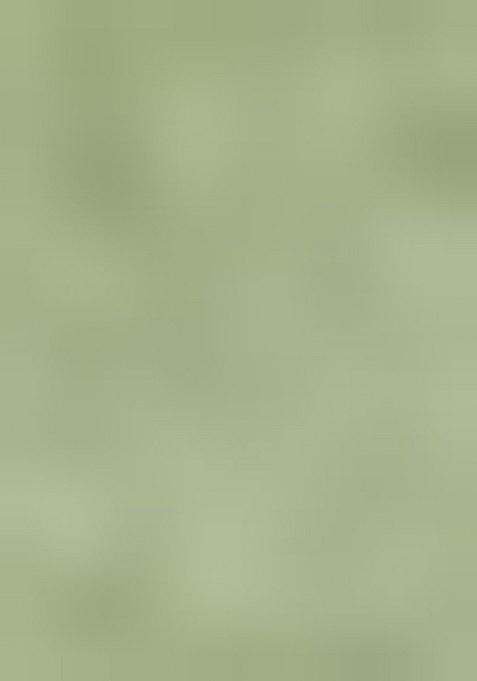 Light Green Embroidered Viscose Dress Material