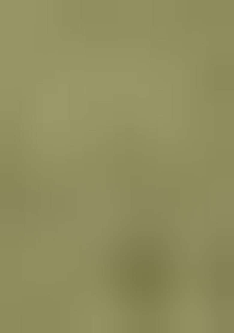 Olive Green Embroidered Cotton Straight Kurta Set - Indya