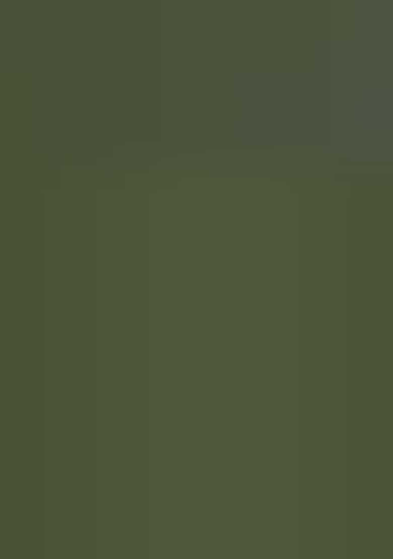 Olive Green Embroidered Georgette Dress Material - Indya