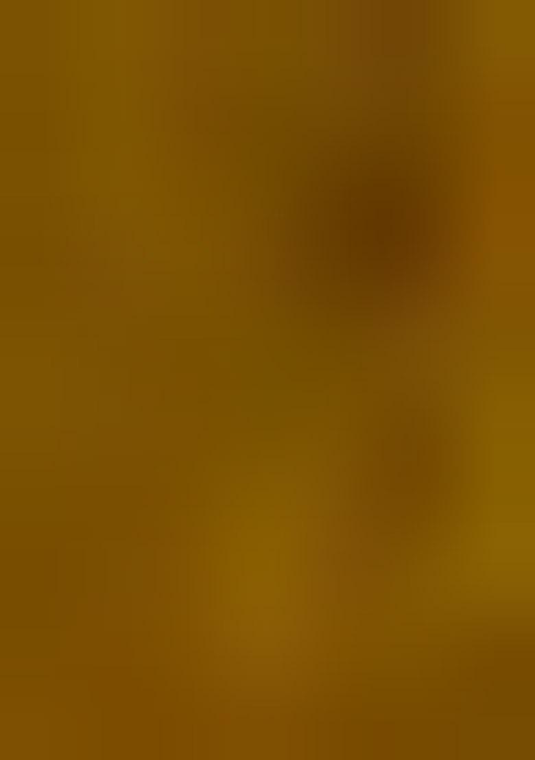 Mehandi Embroidered Jacquard Dress Material