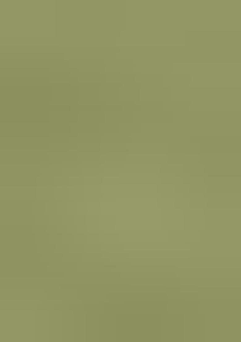 Light Green Embroidered Viscose Dress Material