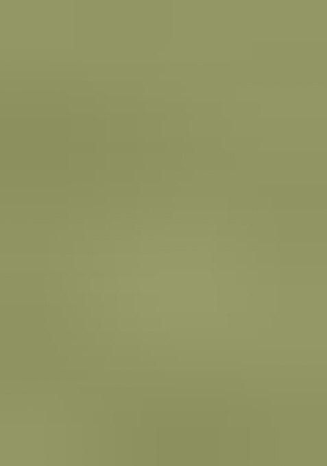 Light Green Embroidered Viscose Dress Material