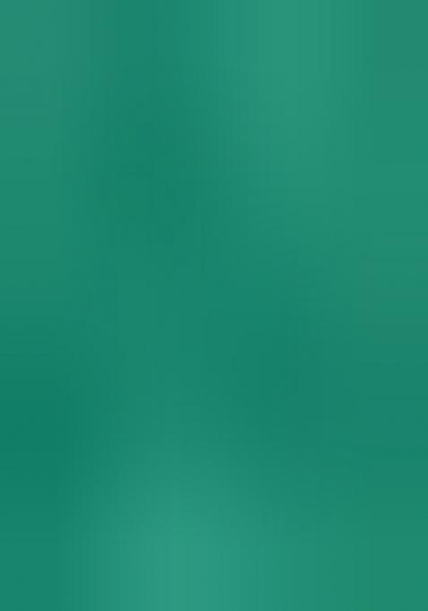 Light Green Embroidered Viscose Dress Material