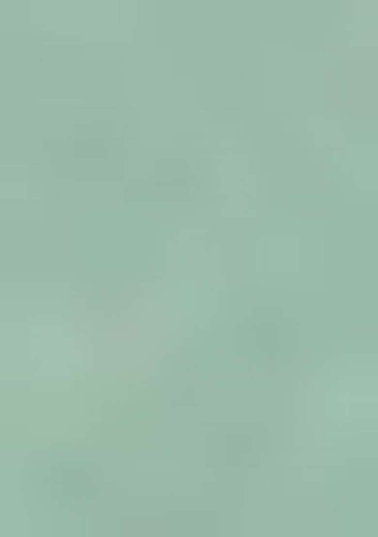 Sea Green Embroidered Georgette Straight Kurta Set - Indya