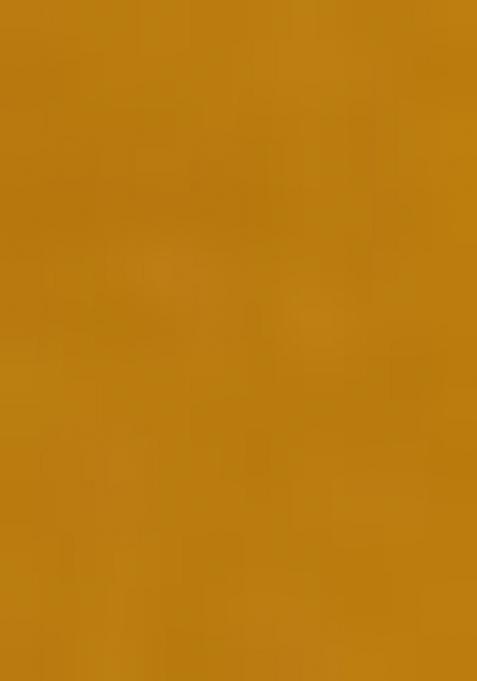 Mehandi Embroidered Georgette Dress Material