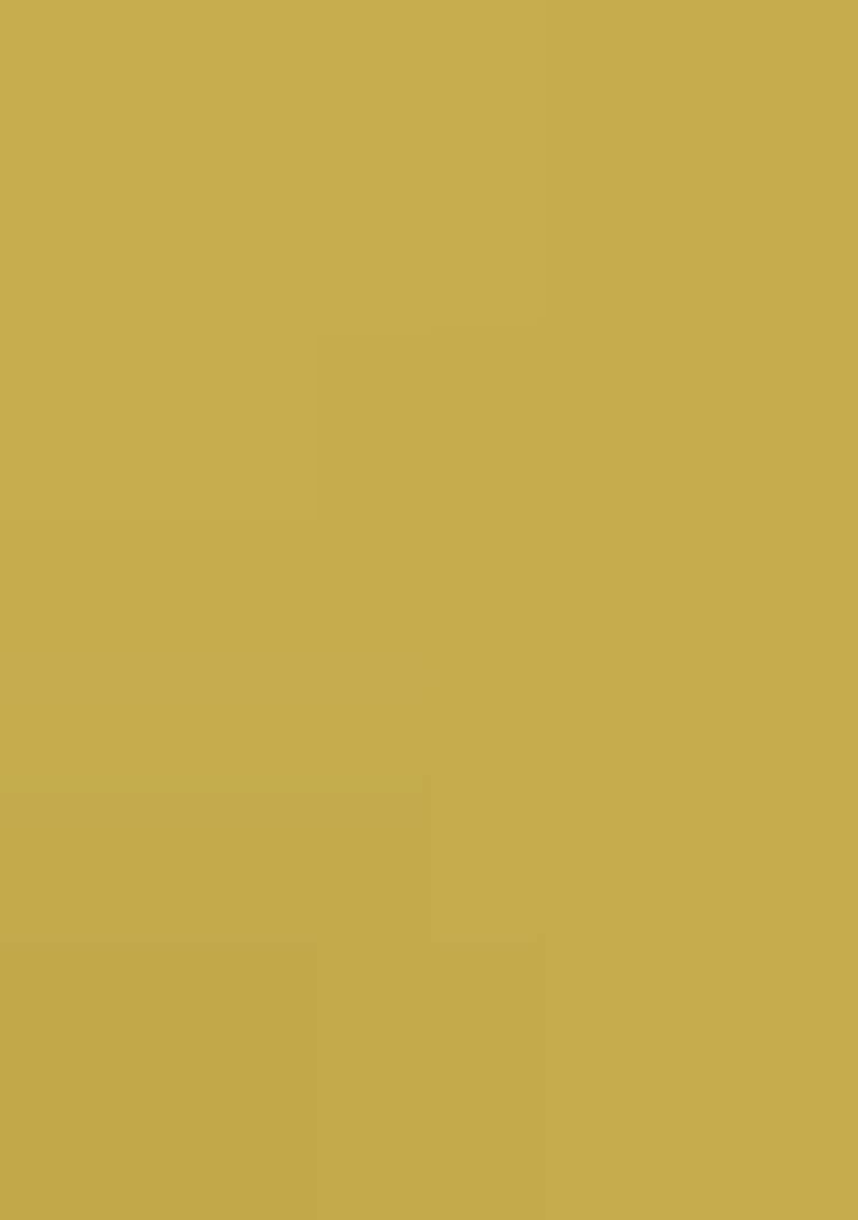 Yellow Embroidered Blended Punjabi Suit - Indya
