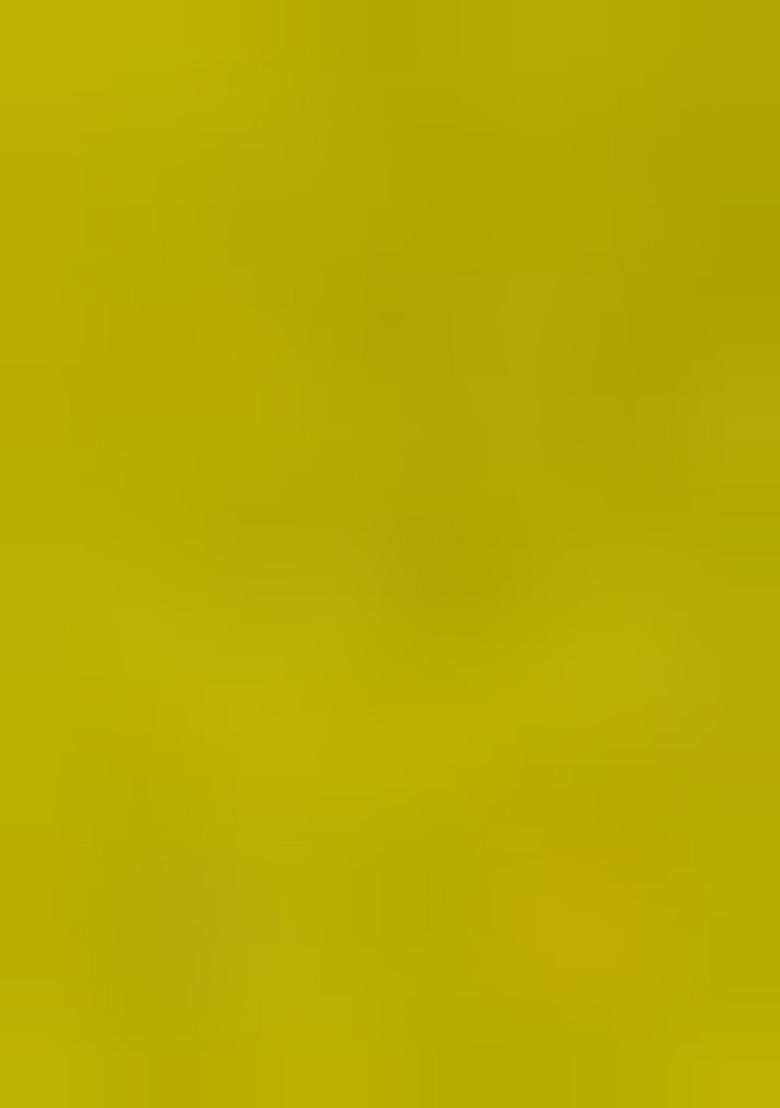 Light Green Embroidered Cotton Blend Dress Material